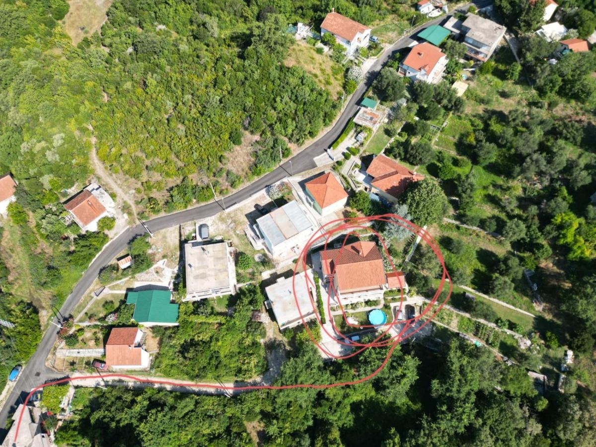 Apartmani Andrea Herceg Novi Dış mekan fotoğraf