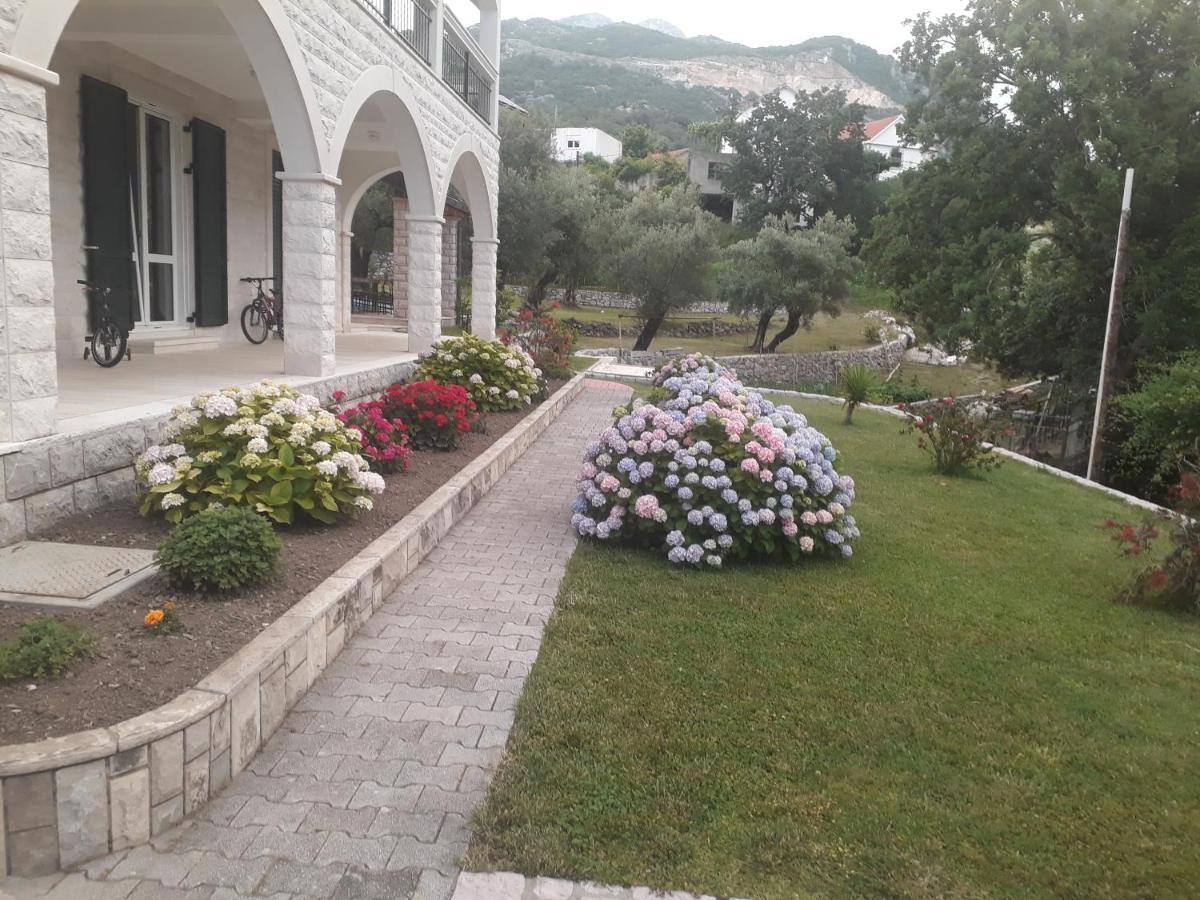 Apartmani Andrea Herceg Novi Dış mekan fotoğraf